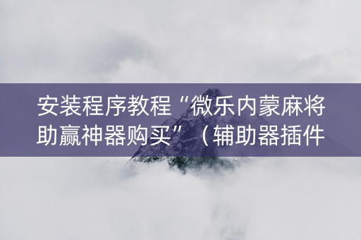 安装程序教程“微乐内蒙麻将助赢神器购买”（辅助器插件)