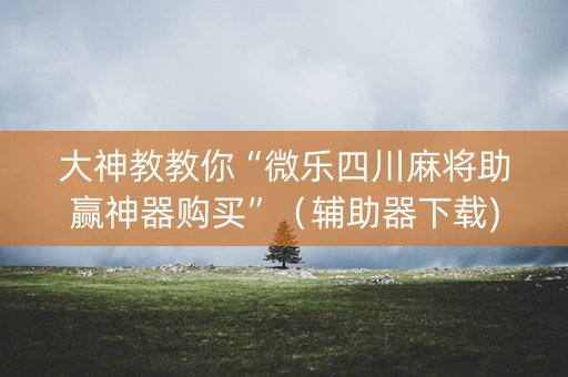 大神教教你“微乐四川麻将助赢神器购买”（辅助器下载)