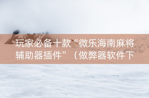 玩家必备十款“微乐海南麻将辅助器插件”（做弊器软件下载)