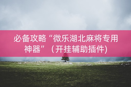 必备攻略“微乐湖北麻将专用神器”（开挂辅助插件)