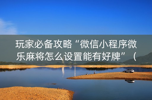 玩家必备攻略“微信小程序微乐麻将怎么设置能有好牌”（辅牌器插件购买)