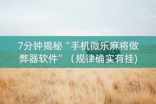 7分钟揭秘“手机微乐麻将做弊器软件”（规律确实有挂)