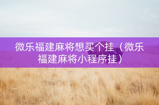 微乐福建麻将想买个挂（微乐福建麻将小程序挂）