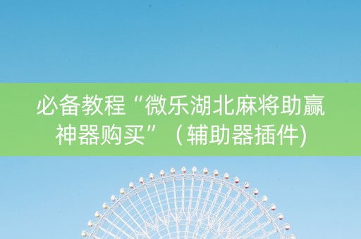 必备教程“微乐湖北麻将助赢神器购买”（辅助器插件)