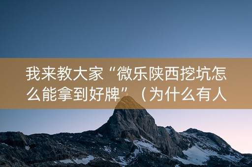我来教大家“微乐陕西挖坑怎么能拿到好牌”（为什么有人一直赢)