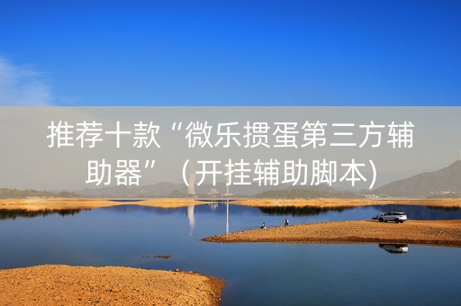 推荐十款“微乐掼蛋第三方辅助器”（开挂辅助脚本)