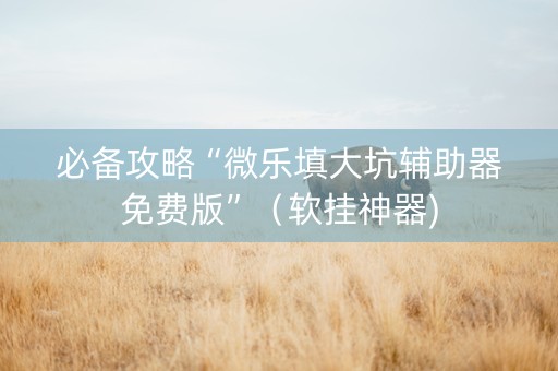 必备攻略“微乐填大坑辅助器免费版”（软挂神器)