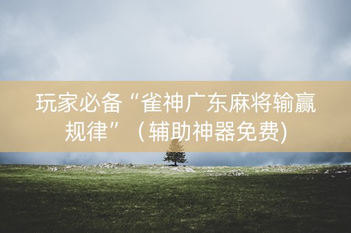 玩家必备“雀神广东麻将输赢规律”（辅助神器免费)