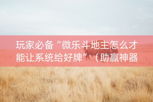 玩家必备“微乐斗地主怎么才能让系统给好牌”（助赢神器)
