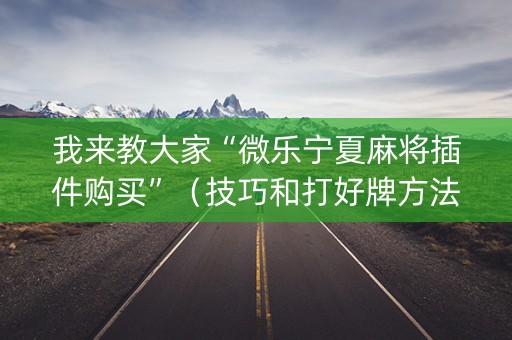 我来教大家“微乐宁夏麻将插件购买”（技巧和打好牌方法)