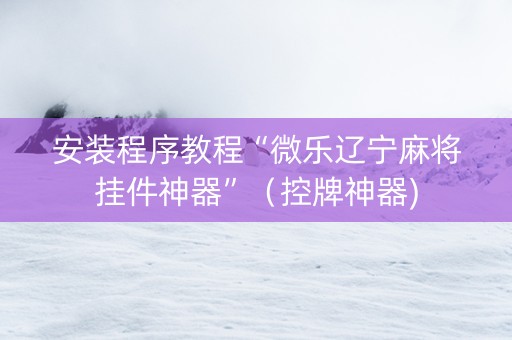 安装程序教程“微乐辽宁麻将挂件神器”（控牌神器)