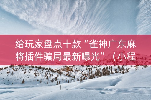给玩家盘点十款“雀神广东麻将插件骗局最新曝光”（小程序必赢神器)