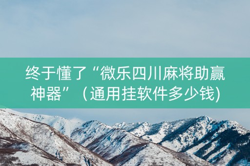 终于懂了“微乐四川麻将助赢神器”（通用挂软件多少钱)