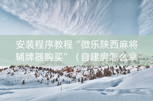 安装程序教程“微乐陕西麻将辅牌器购买”（自建房怎么拿好牌)