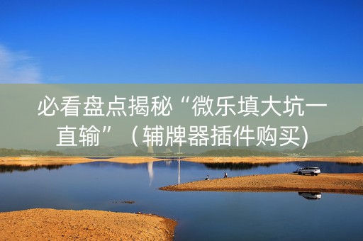 必看盘点揭秘“微乐填大坑一直输”（辅牌器插件购买)