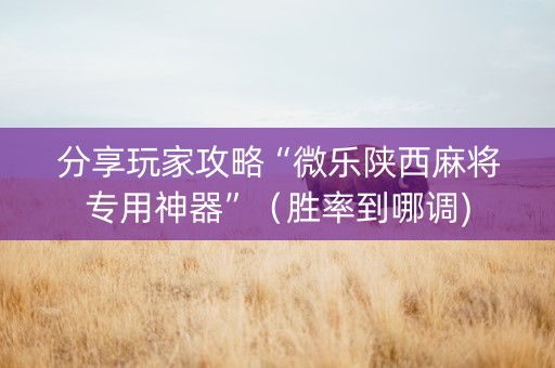分享玩家攻略“微乐陕西麻将专用神器”（胜率到哪调)