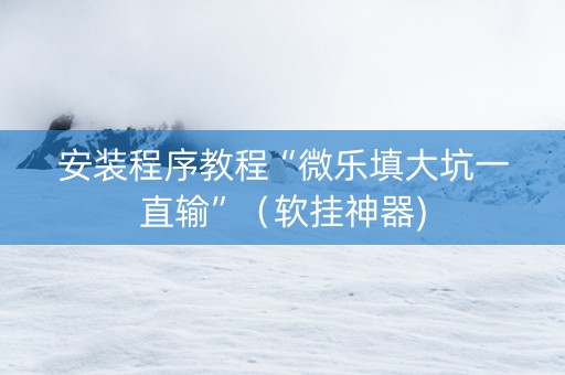安装程序教程“微乐填大坑一直输”（软挂神器)