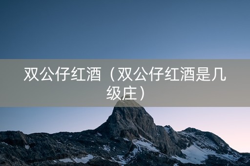 双公仔红酒（双公仔红酒是几级庄）