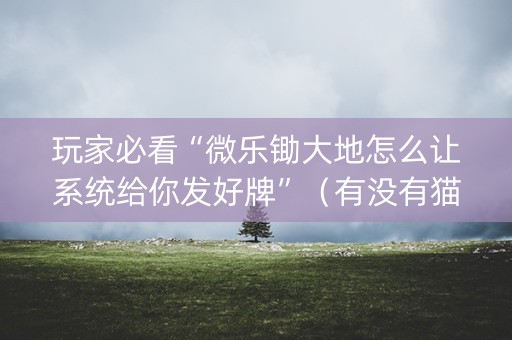 玩家必看“微乐锄大地怎么让系统给你发好牌”（有没有猫腻)