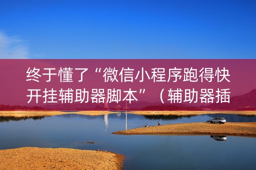 终于懂了“微信小程序跑得快开挂辅助器脚本”（辅助器插件)