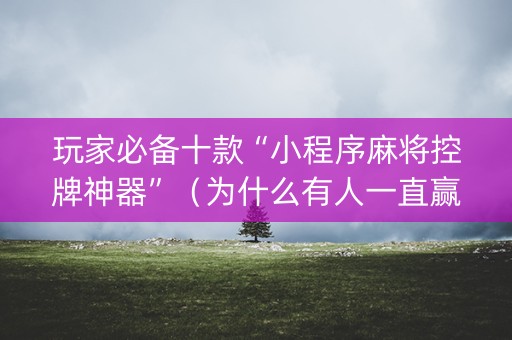玩家必备十款“小程序麻将控牌神器”（为什么有人一直赢)