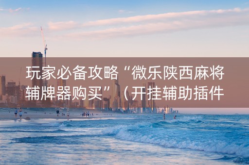 玩家必备攻略“微乐陕西麻将辅牌器购买”（开挂辅助插件)