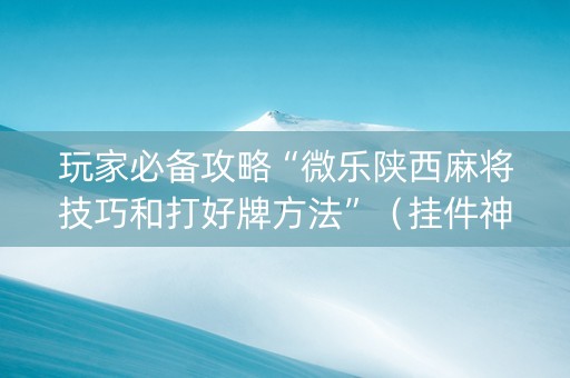 玩家必备攻略“微乐陕西麻将技巧和打好牌方法”（挂件神器)