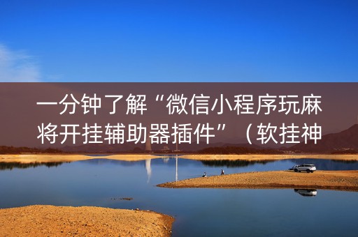 一分钟了解“微信小程序玩麻将开挂辅助器插件”（软挂神器)