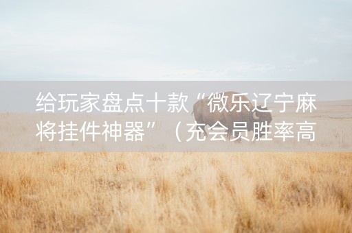 给玩家盘点十款“微乐辽宁麻将挂件神器”（充会员胜率高)