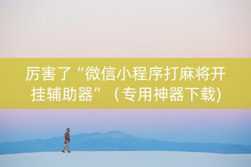 厉害了“微信小程序打麻将开挂辅助器”（专用神器下载)