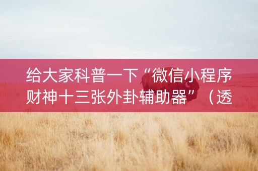给大家科普一下“微信小程序财神十三张外卦辅助器”（透明器教程)