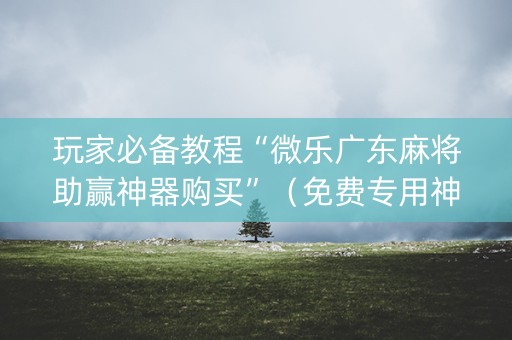 玩家必备教程“微乐广东麻将助赢神器购买”（免费专用神器)