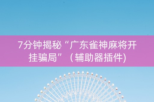 7分钟揭秘“广东雀神麻将开挂骗局”（辅助器插件)