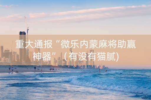 重大通报“微乐内蒙麻将助赢神器”（有没有猫腻)
