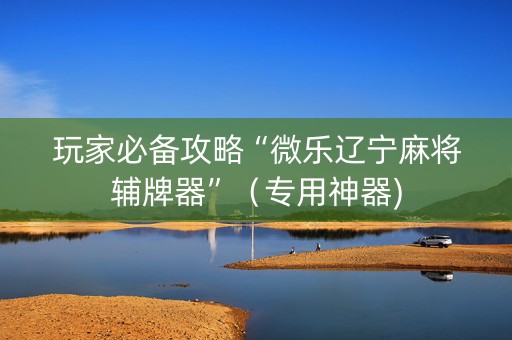 玩家必备攻略“微乐辽宁麻将辅牌器”（专用神器)