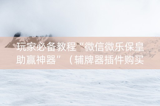 玩家必备教程“微信微乐保皇助赢神器”（辅牌器插件购买)