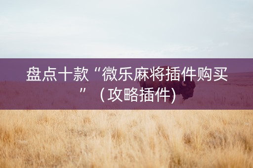 盘点十款“微乐麻将插件购买”（攻略插件)