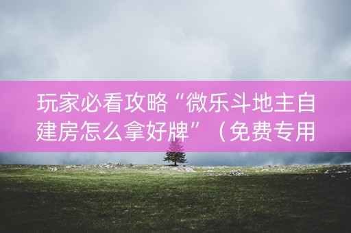 玩家必看攻略“微乐斗地主自建房怎么拿好牌”（免费专用神器)