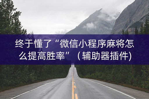 终于懂了“微信小程序麻将怎么提高胜率”（辅助器插件)
