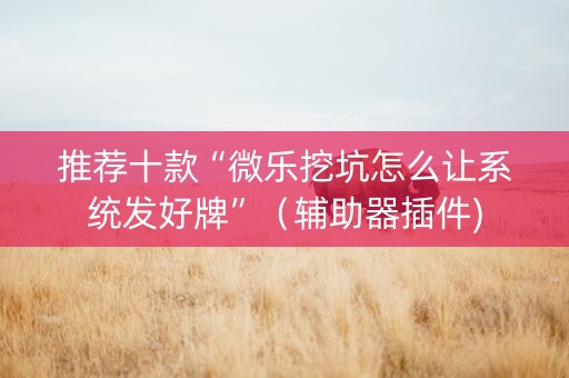 推荐十款“微乐挖坑怎么让系统发好牌”（辅助器插件)