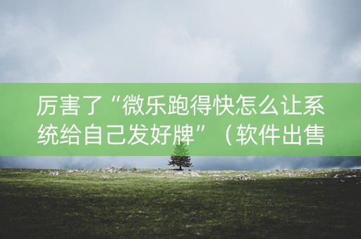 厉害了“微乐跑得快怎么让系统给自己发好牌”（软件出售)