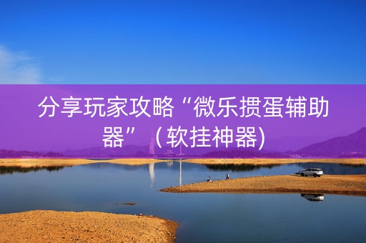 分享玩家攻略“微乐掼蛋辅助器”（软挂神器)