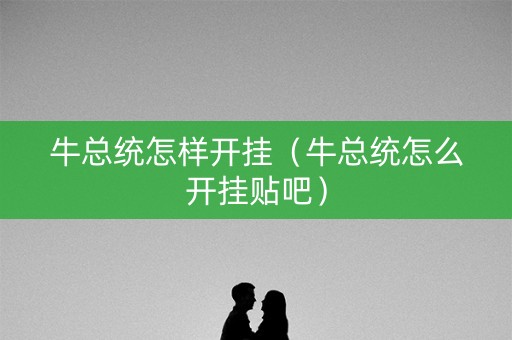 牛总统怎样开挂（牛总统怎么开挂贴吧）