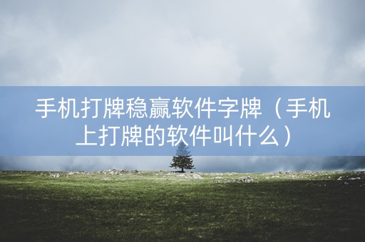 手机打牌稳赢软件字牌（手机上打牌的软件叫什么）
