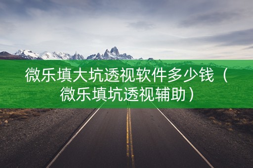 微乐填大坑透视软件多少钱（微乐填坑透视辅助）