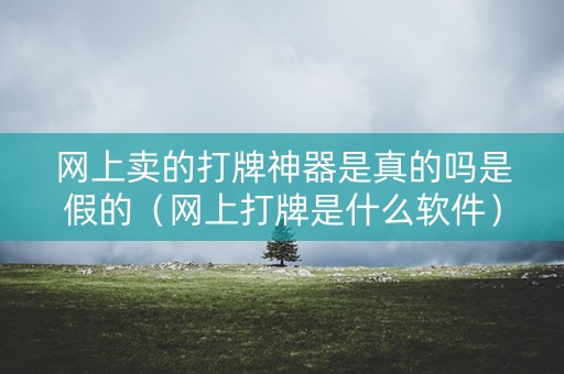 网上卖的打牌神器是真的吗是假的（网上打牌是什么软件）