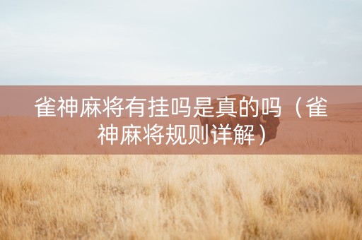 雀神麻将有挂吗是真的吗（雀神麻将规则详解）