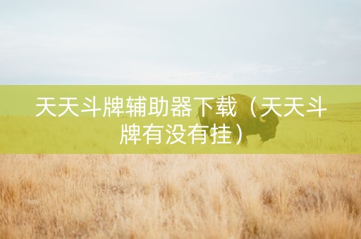 天天斗牌辅助器下载（天天斗牌有没有挂）