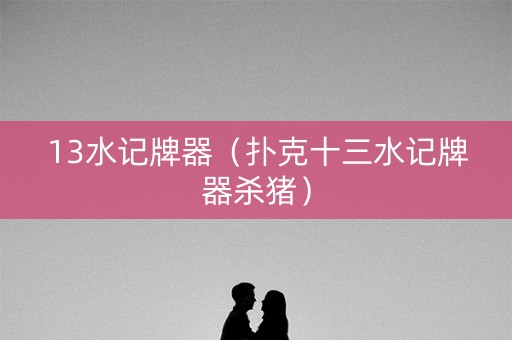 13水记牌器（扑克十三水记牌器杀猪）
