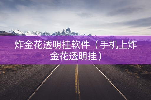 炸金花透明挂软件（手机上炸金花透明挂）
